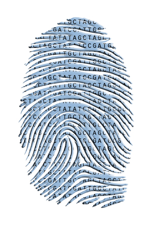 DNA fingerprint