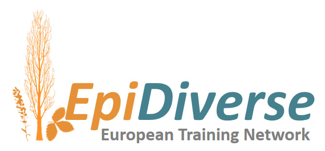 EpiDiverse