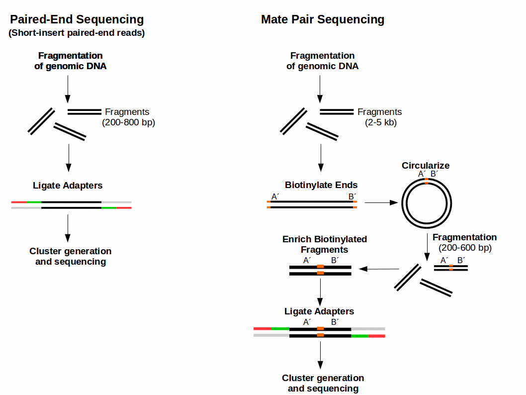 What is mate pair sequencing for?