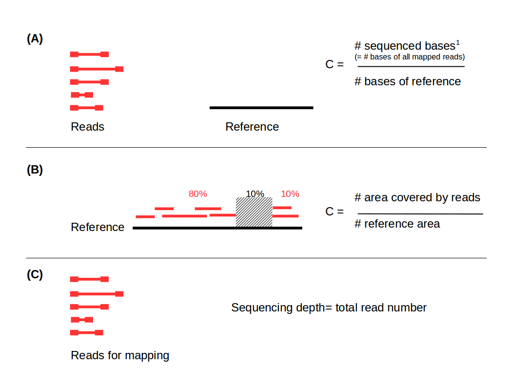 How to calculate the coverage for a NGS experiment